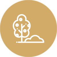 Landscaped Garden at Sowparnika Life On The Green - Residential Projects in Sarjapura-Attibele Road