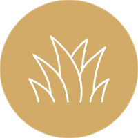 Lawn at Sowparnika Life On The Green - Sarjapura-Attibele Road